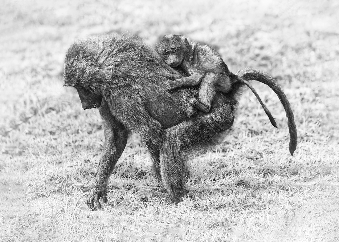 Mother and Child