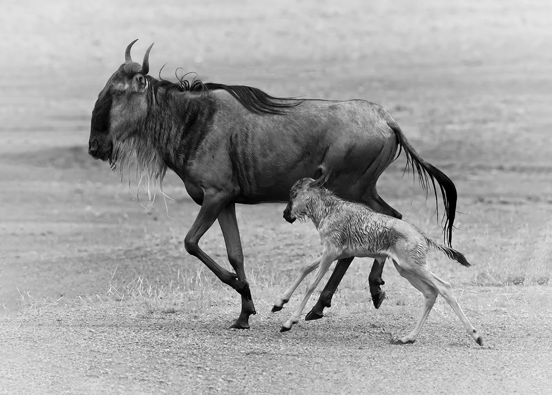 Mother and Child