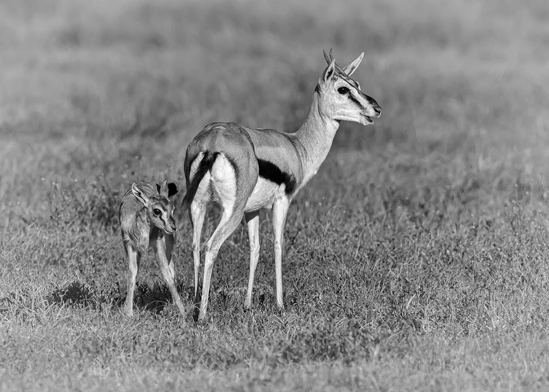Mother and Child