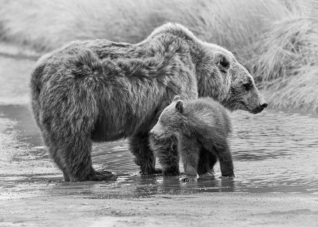Mother and Child
