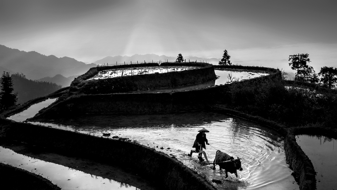 Spring ploughing