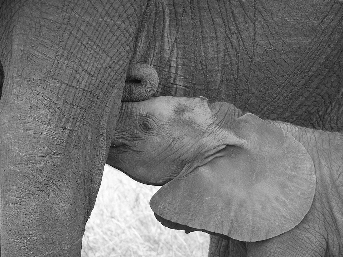 Breast-feeding time