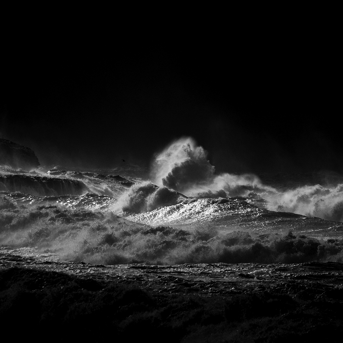 The Marine' souls