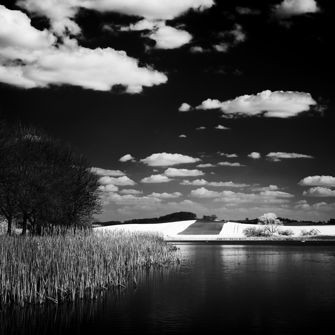 nature texture