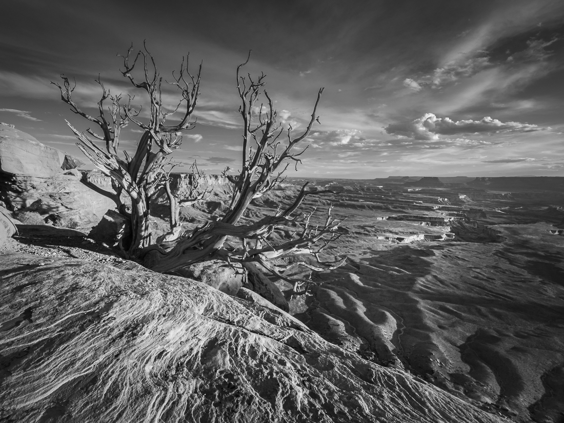 Canyonlands Sunset