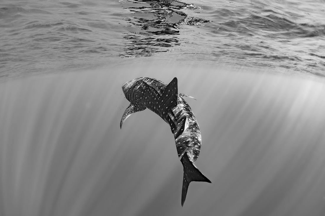 Just Beneath the Surface