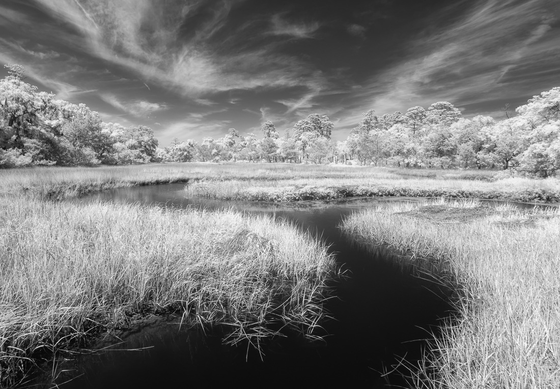 Low Country High Tide