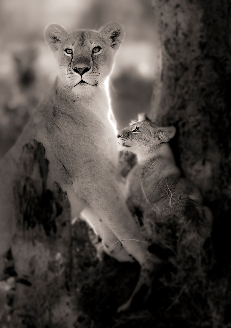 Fantastic Kenya