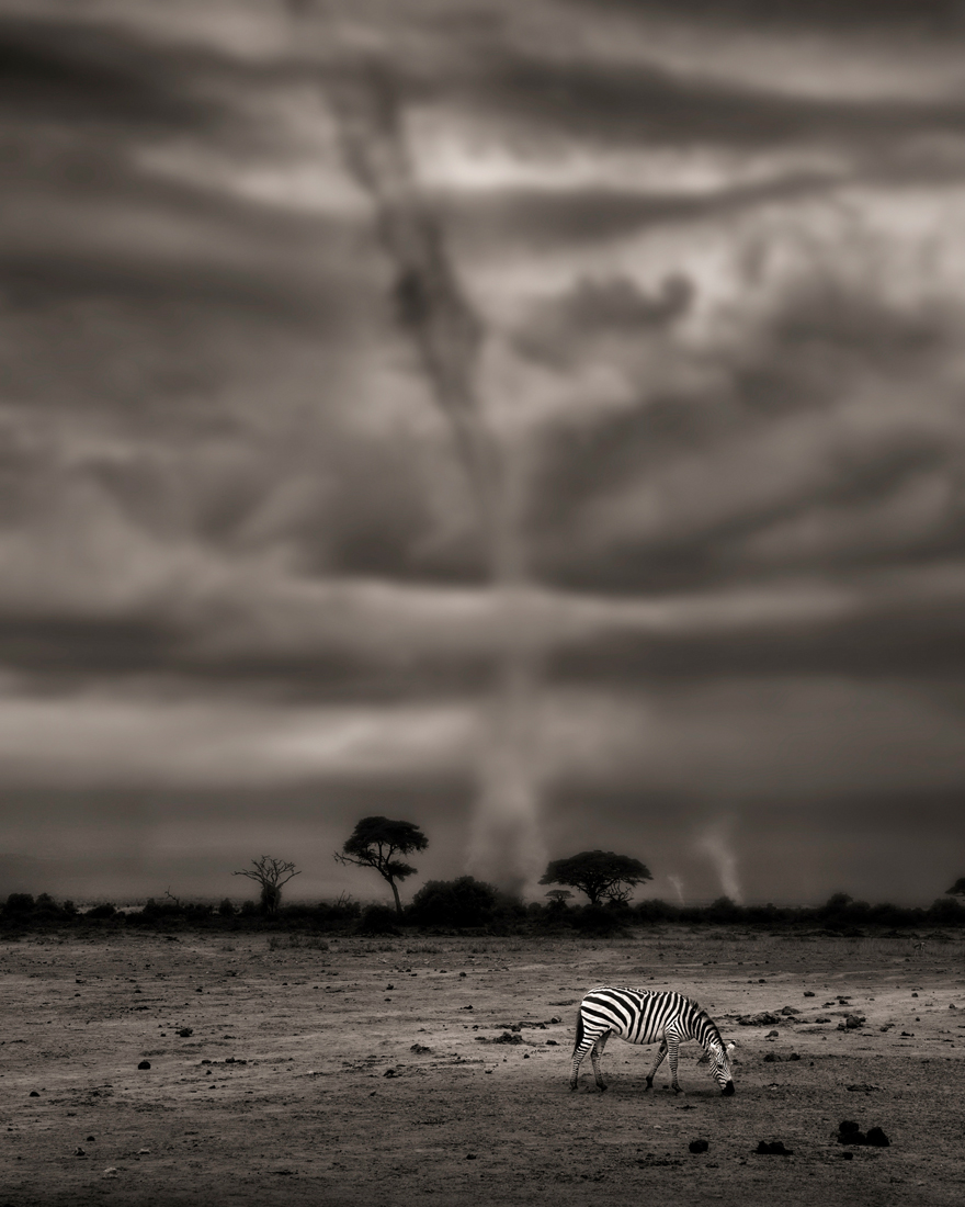 Fantastic Kenya