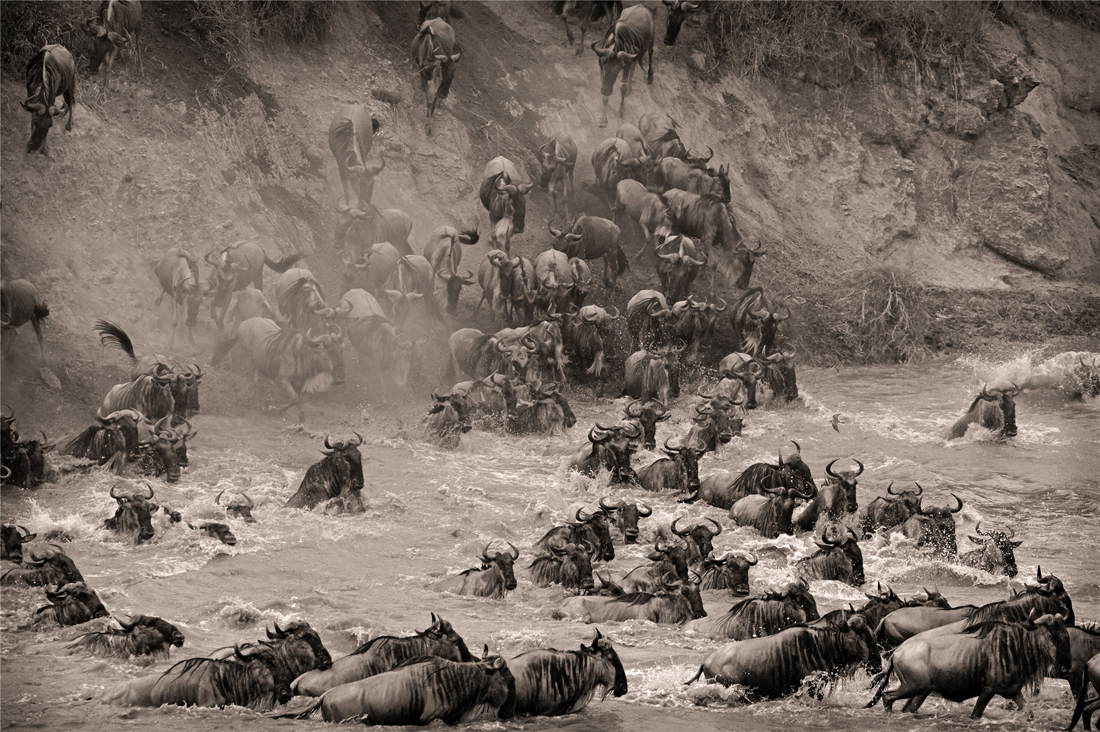 Fantastic Kenya