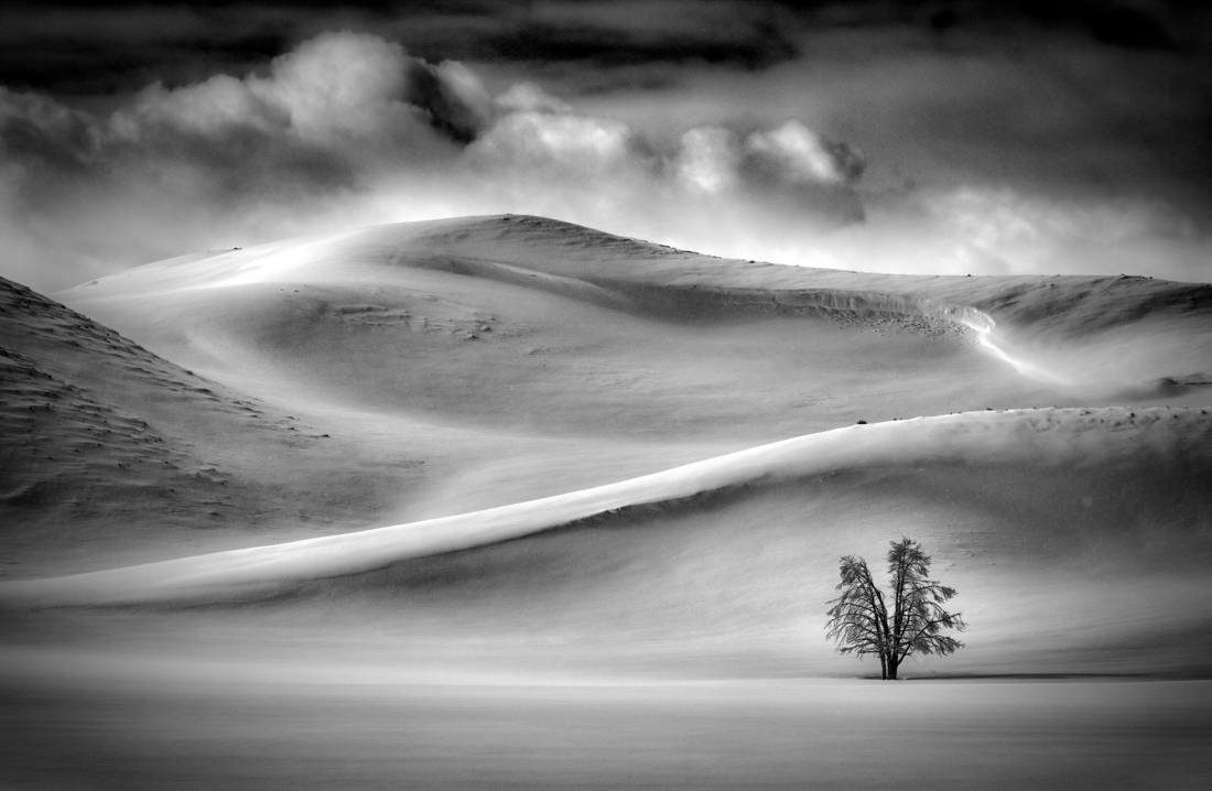 Winter's Desolation