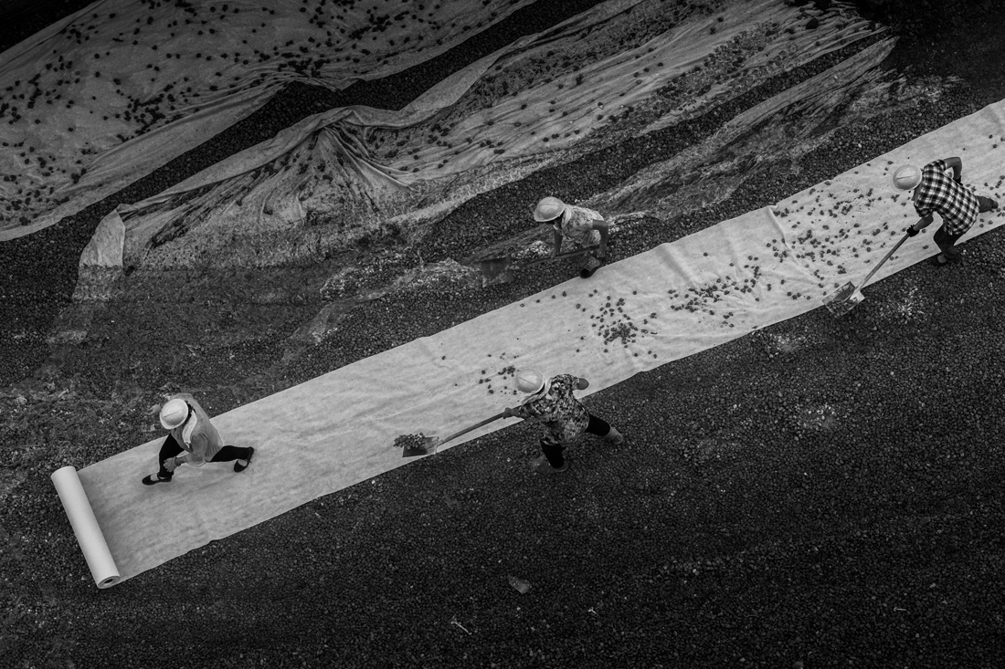 The Chinese labor- rural migrant workers