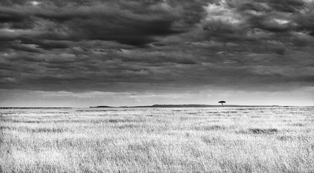 Solitude
