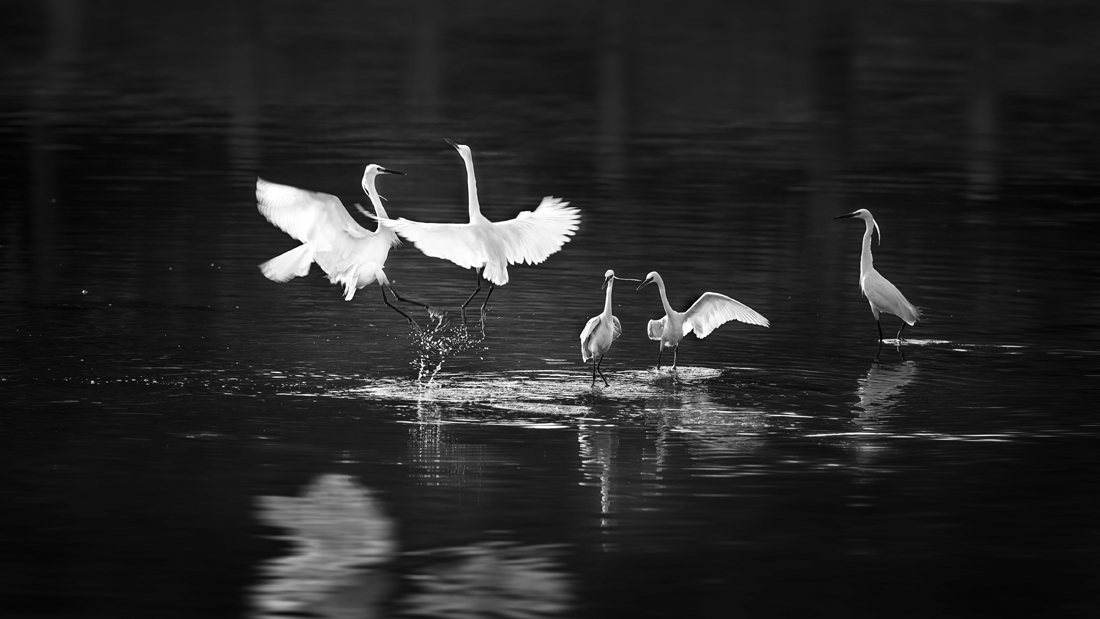 Ballet over water
