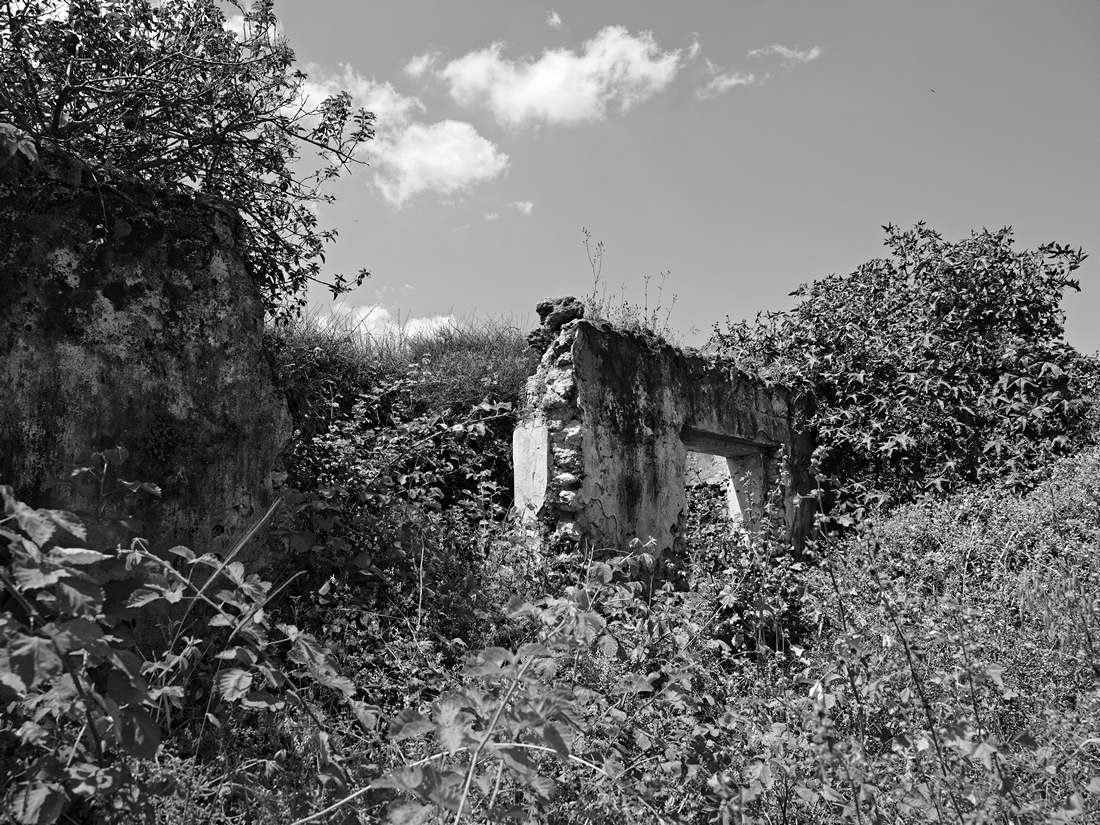 Left Behind