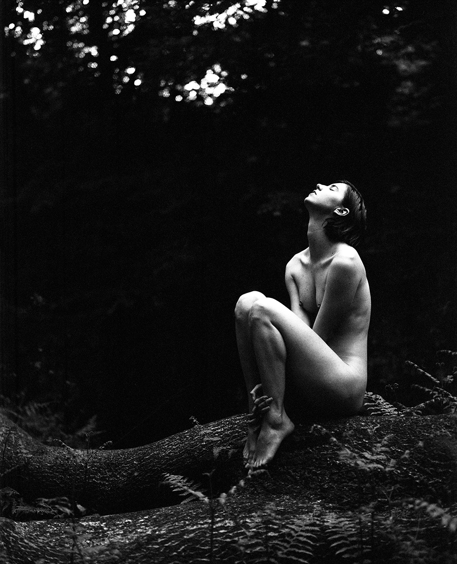 The Forest