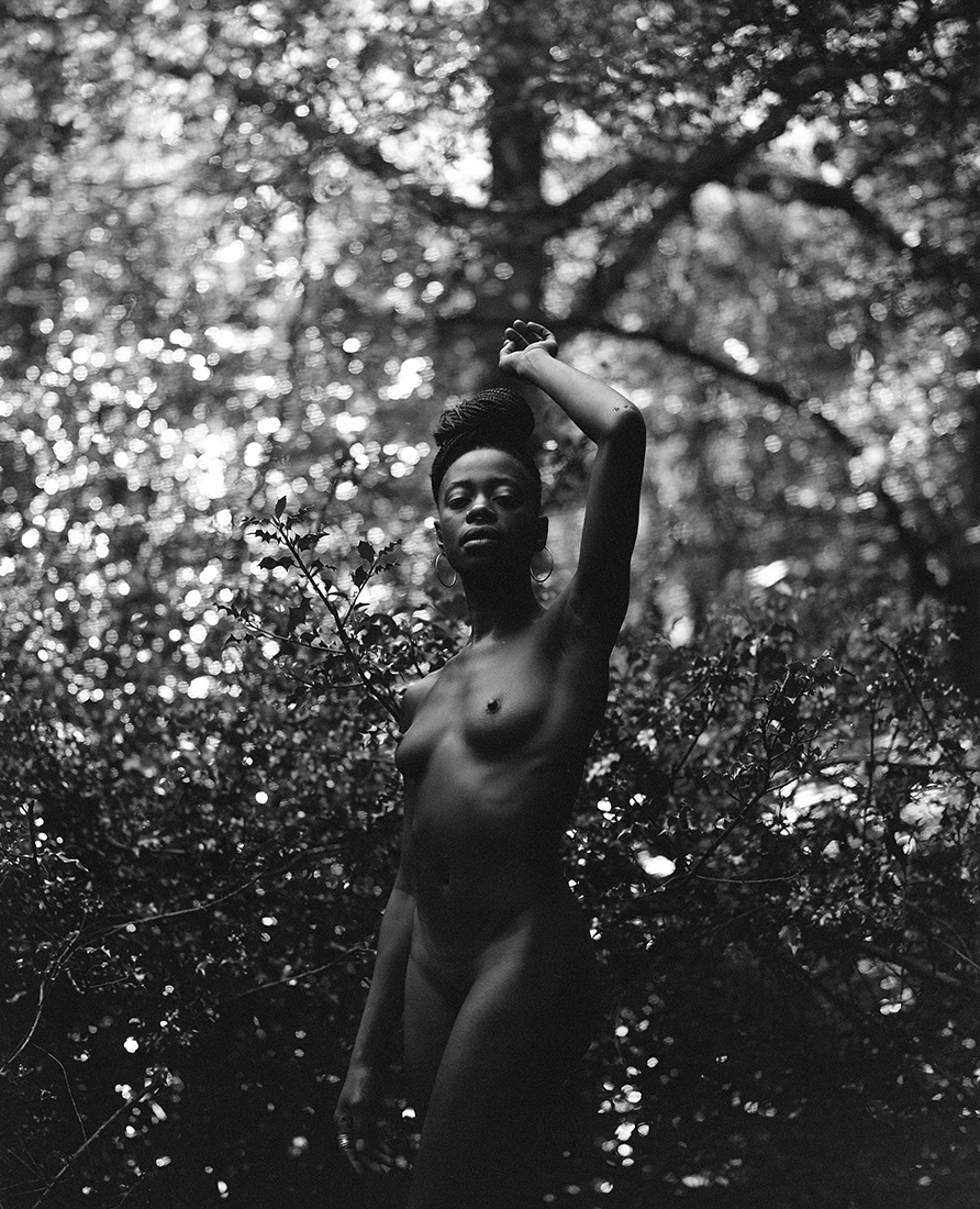 The Forest