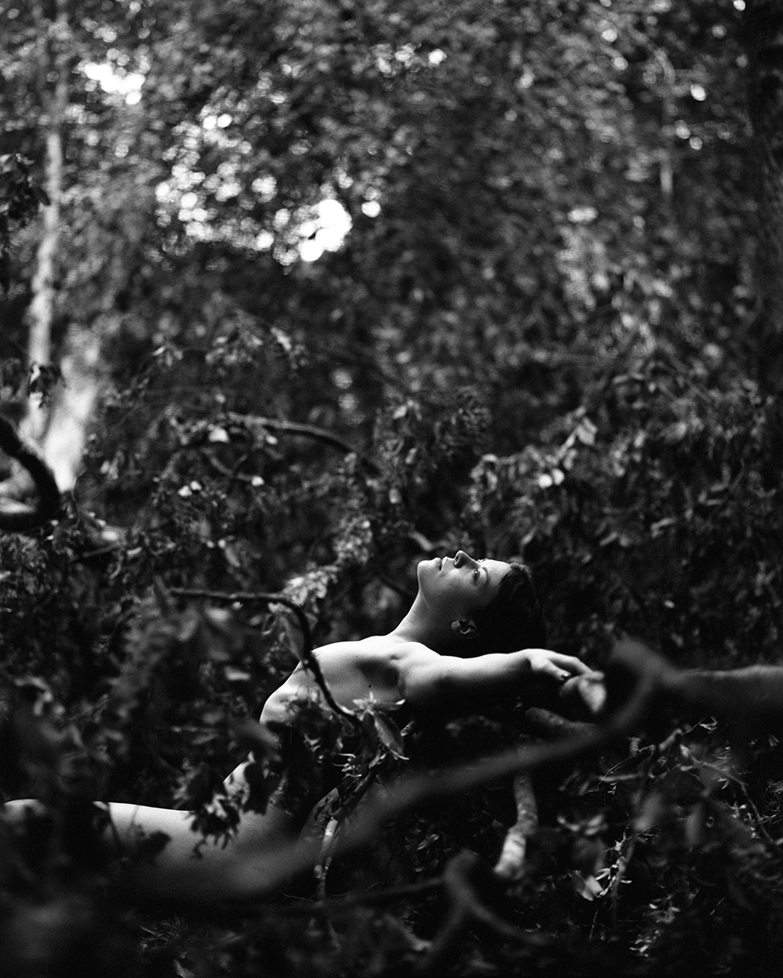 The Forest