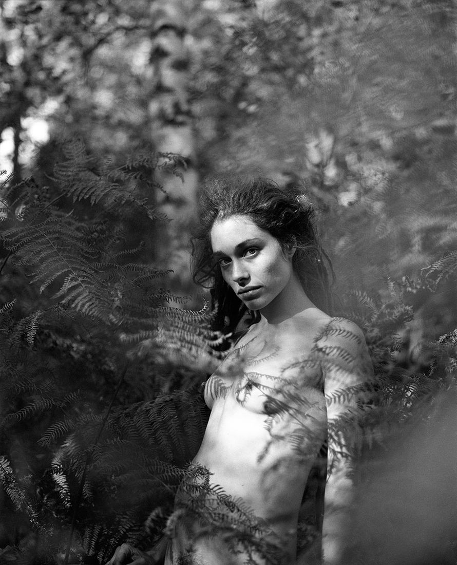 The Forest