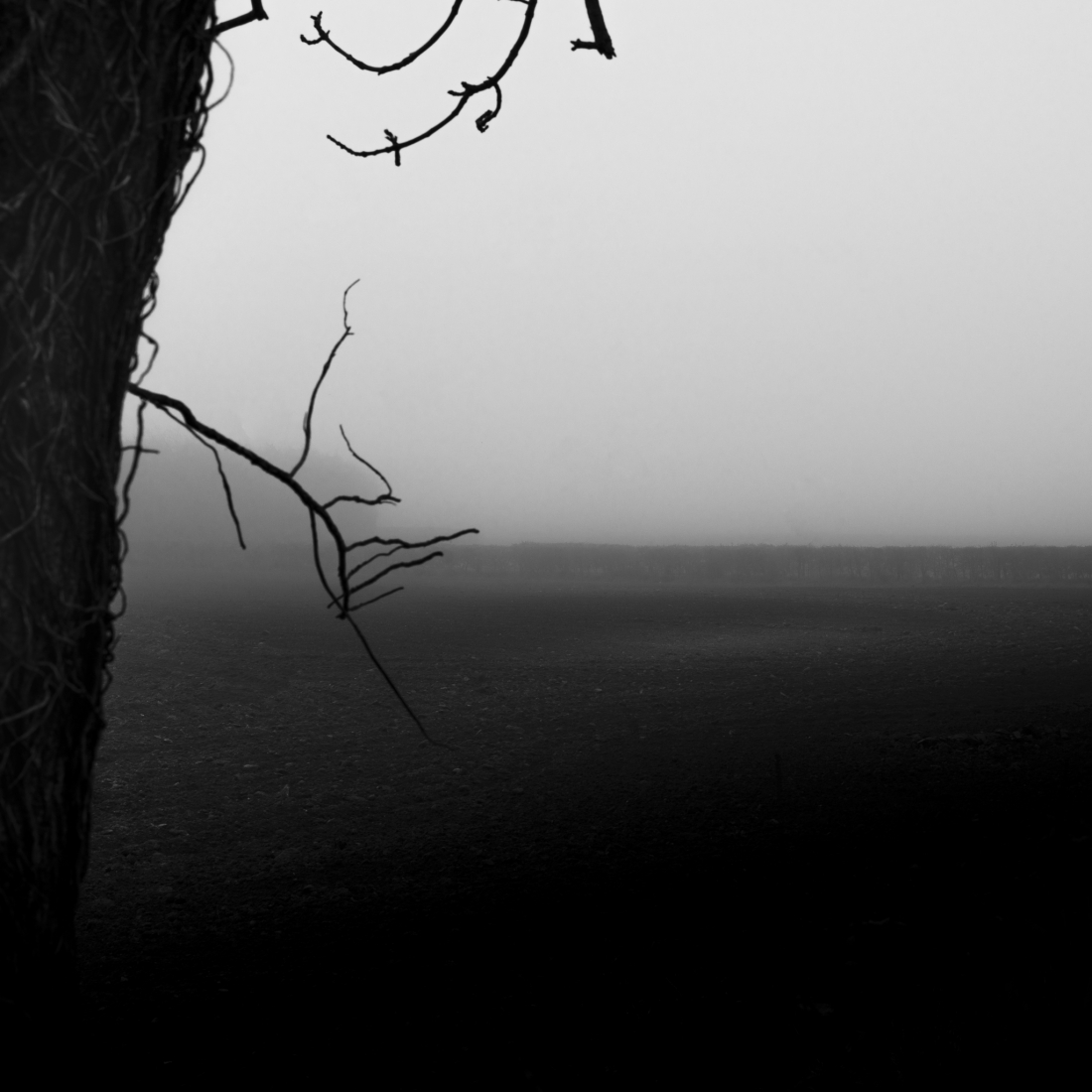 Wander