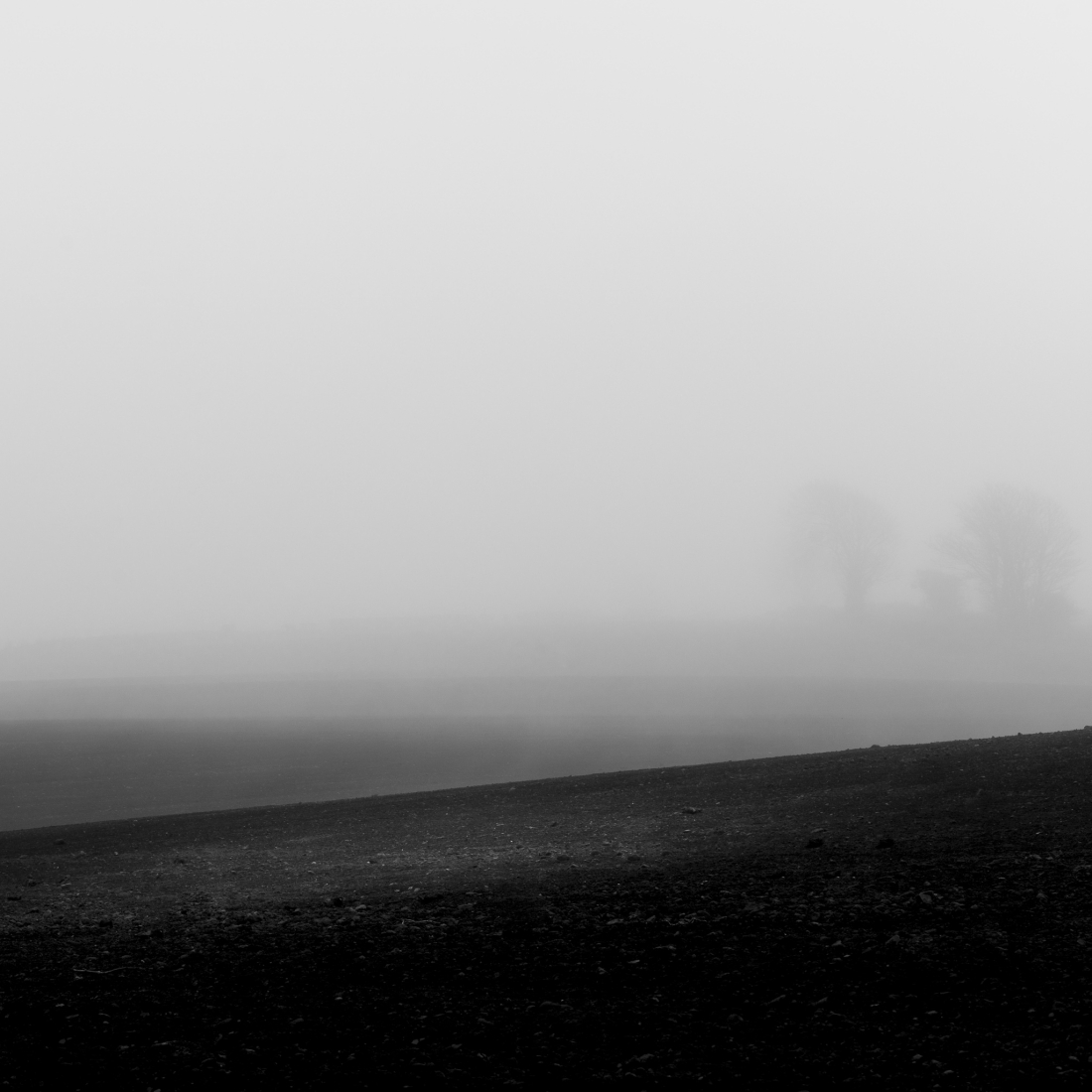Wander