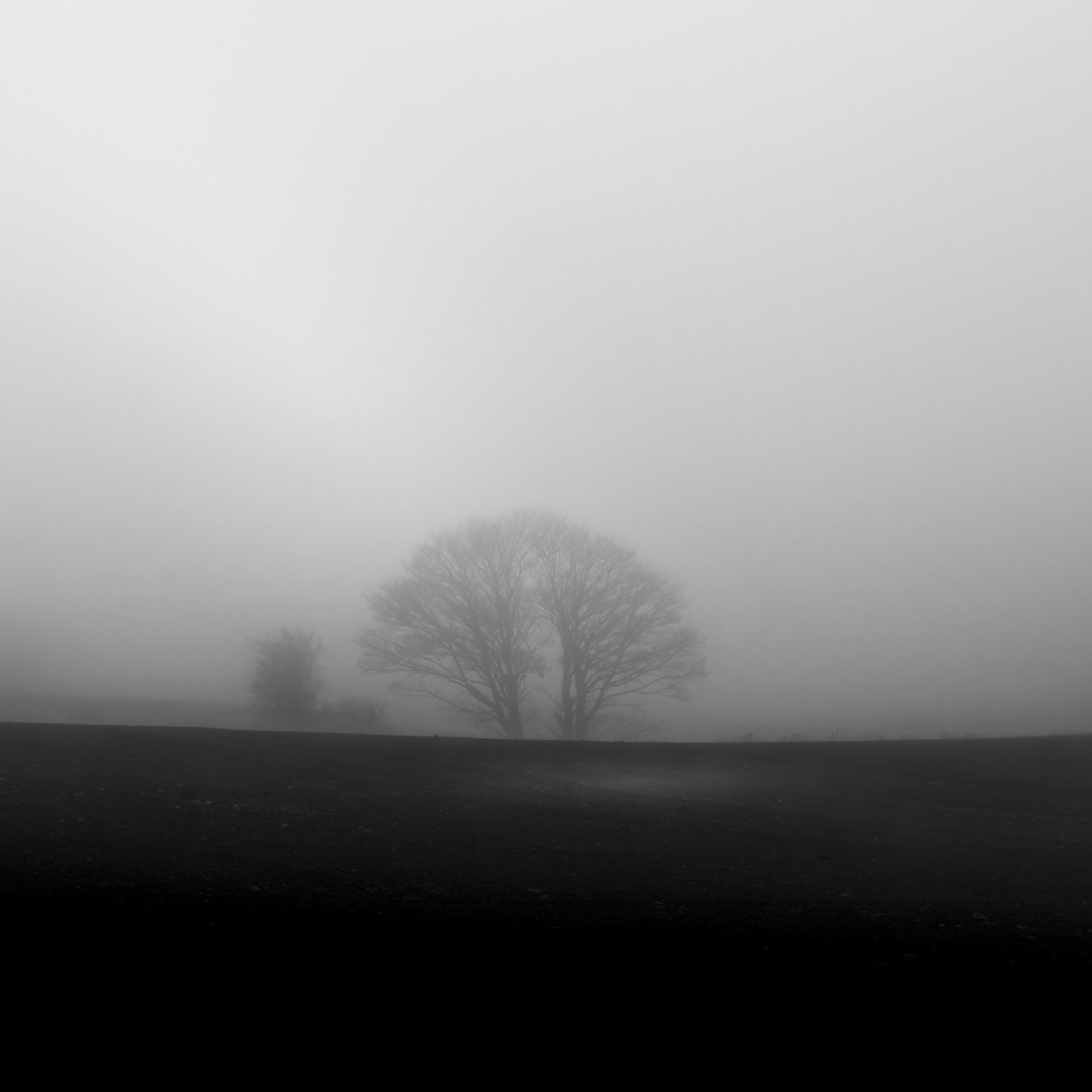 Wander