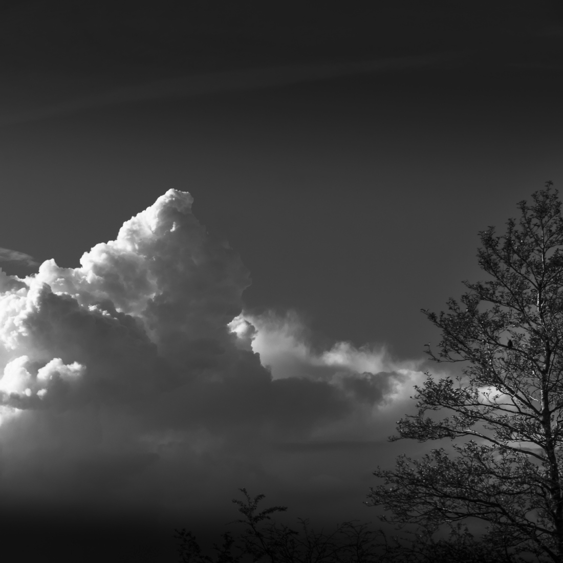 Ascend