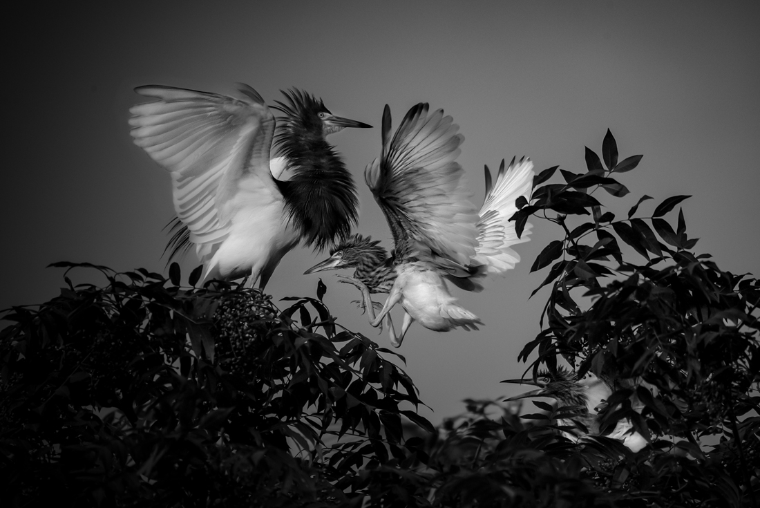 Spread wings and fly together
