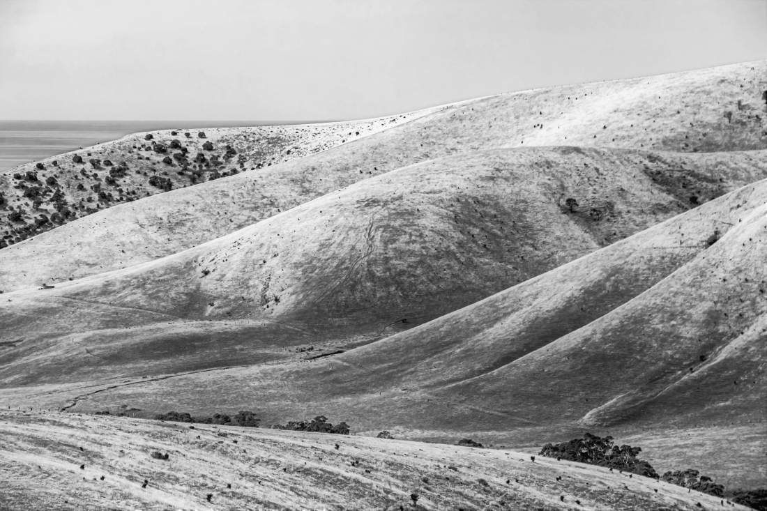 Dry and Barren