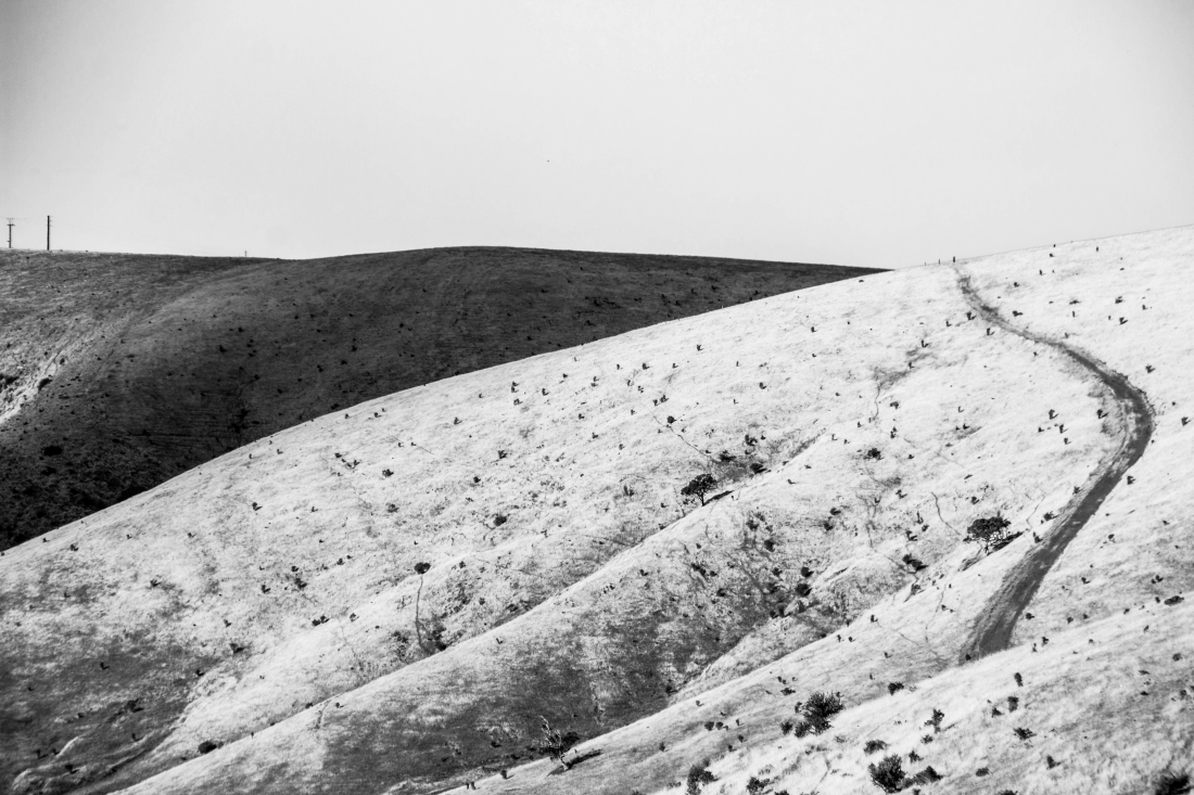 Dry and Barren
