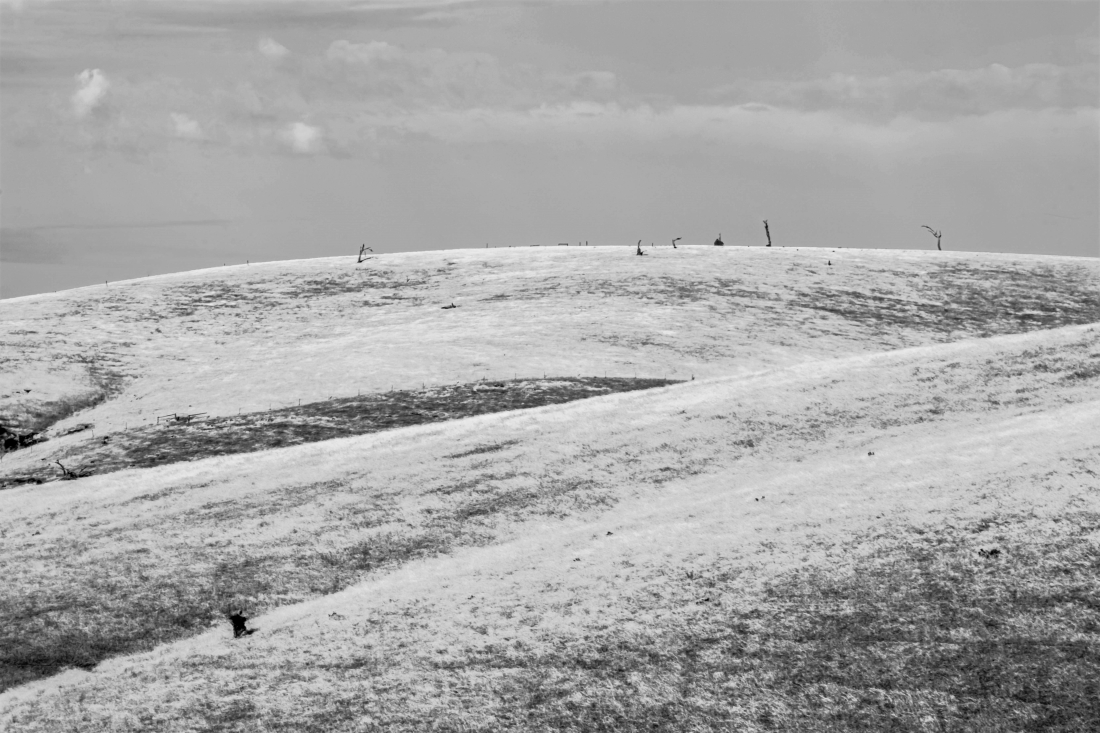 Dry and Barren