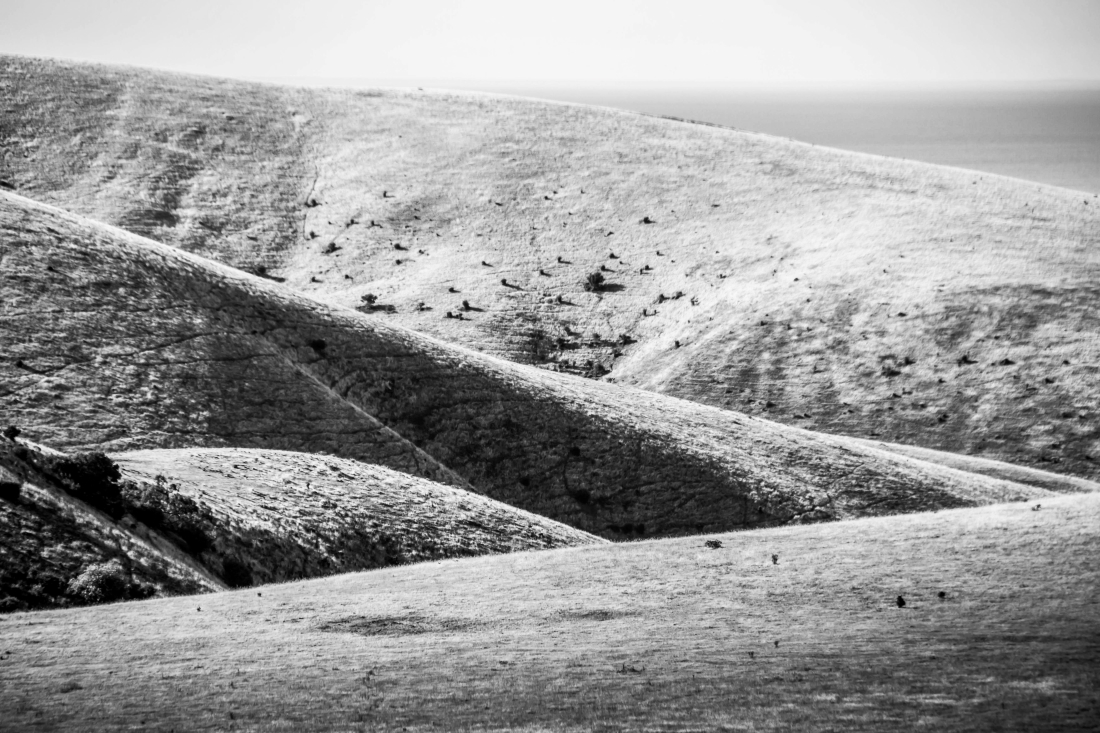 Dry and Barren