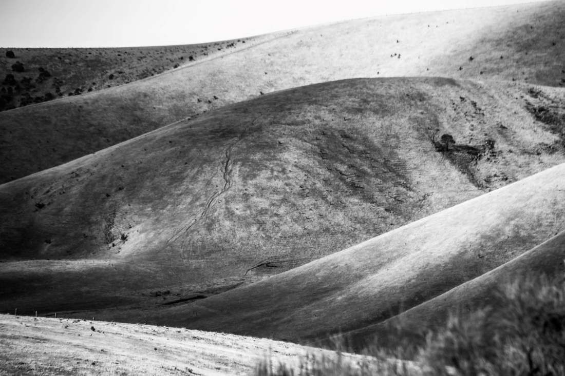 Dry and Barren