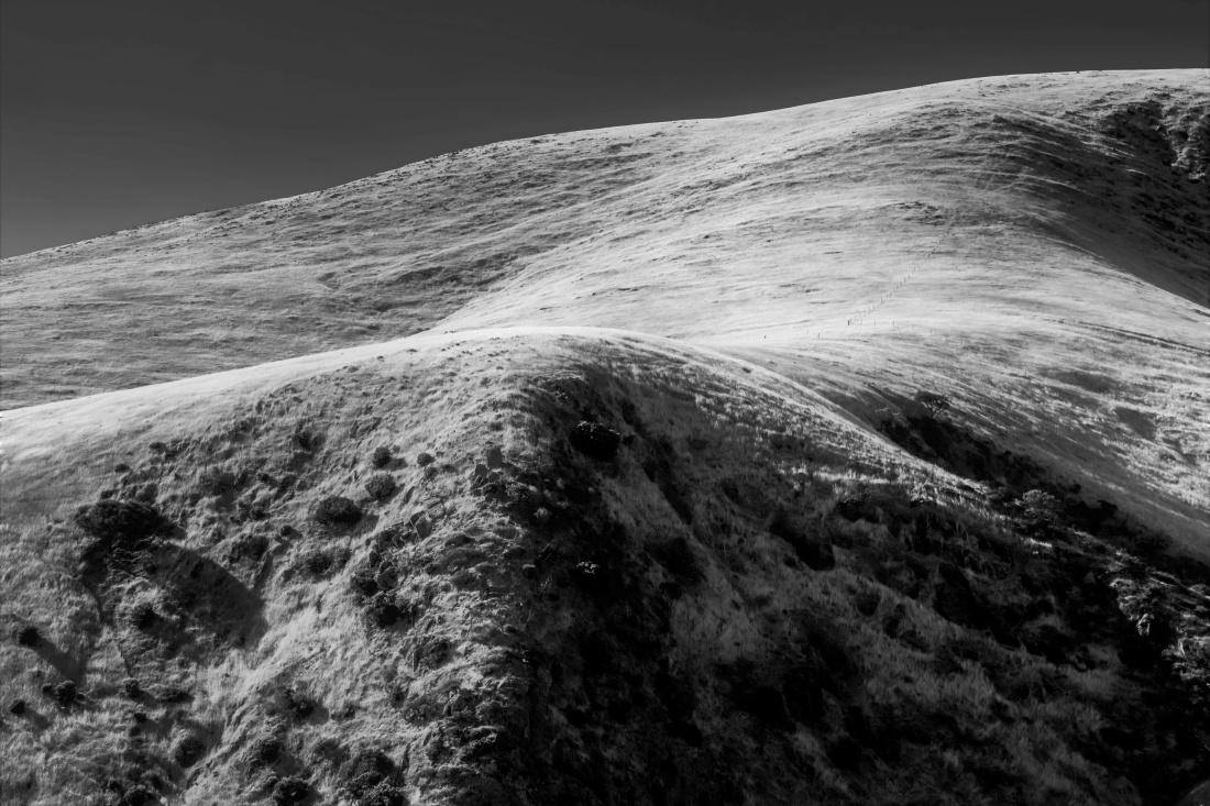Dry and Barren