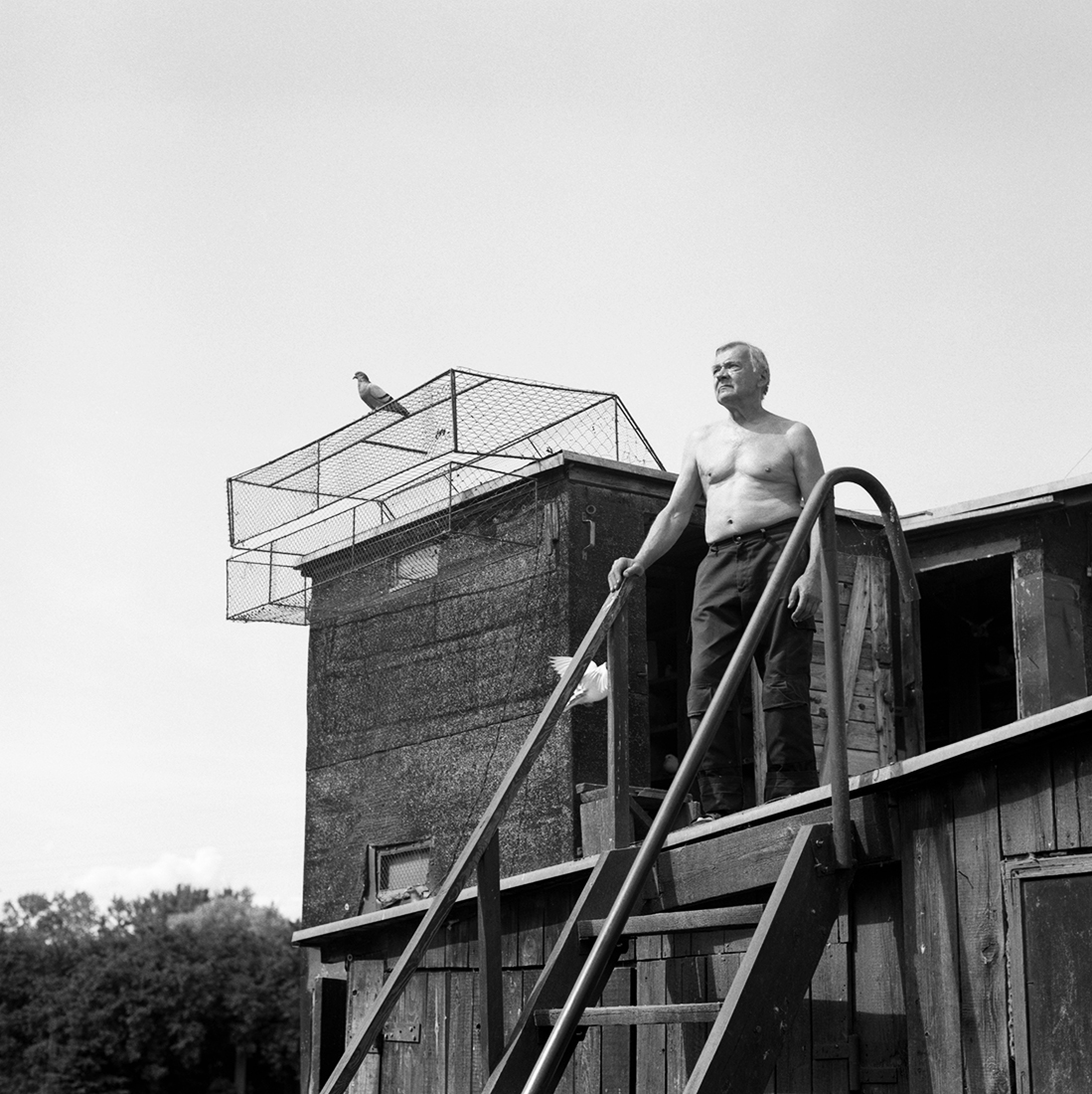 Pigeon Fanciers