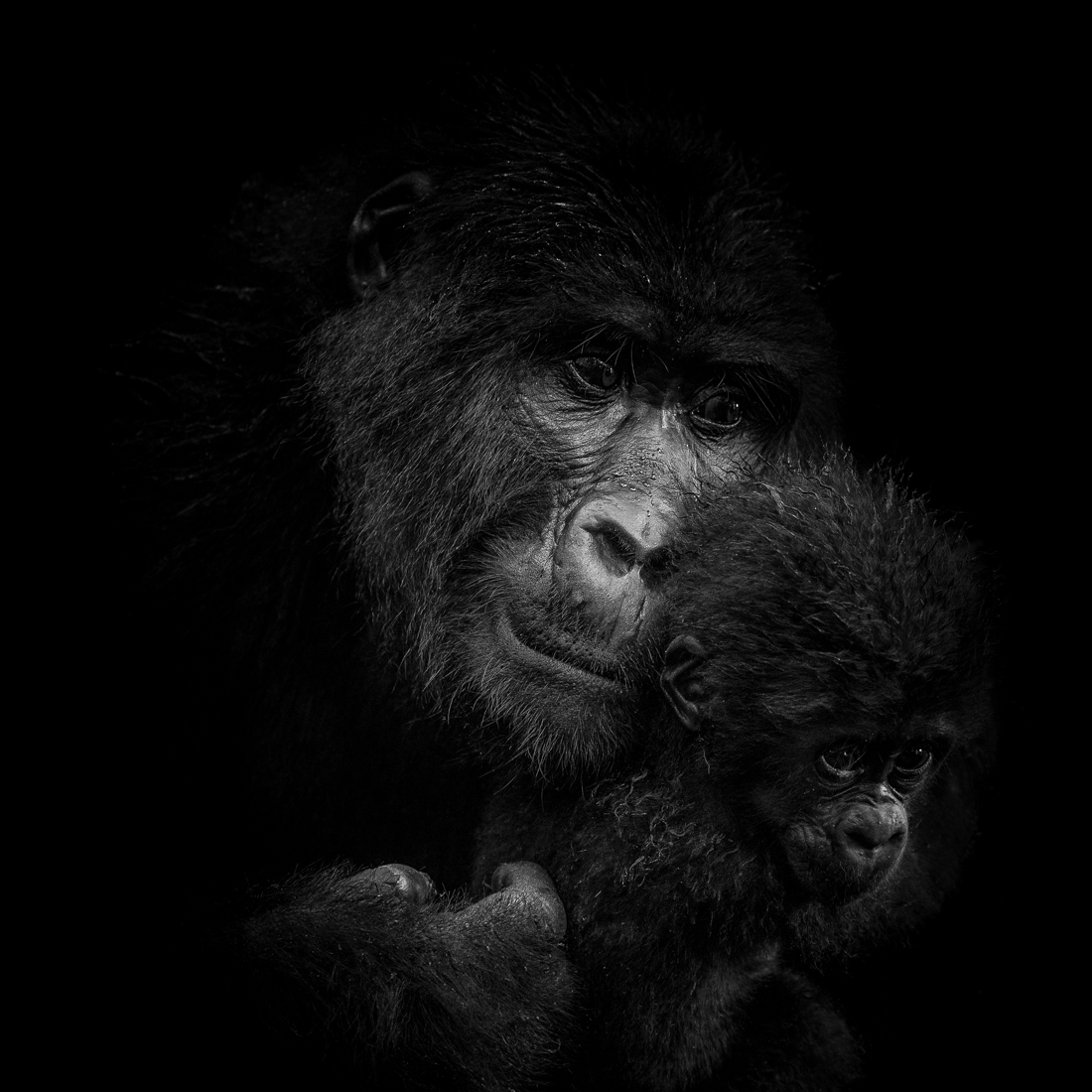 Mother and Child
