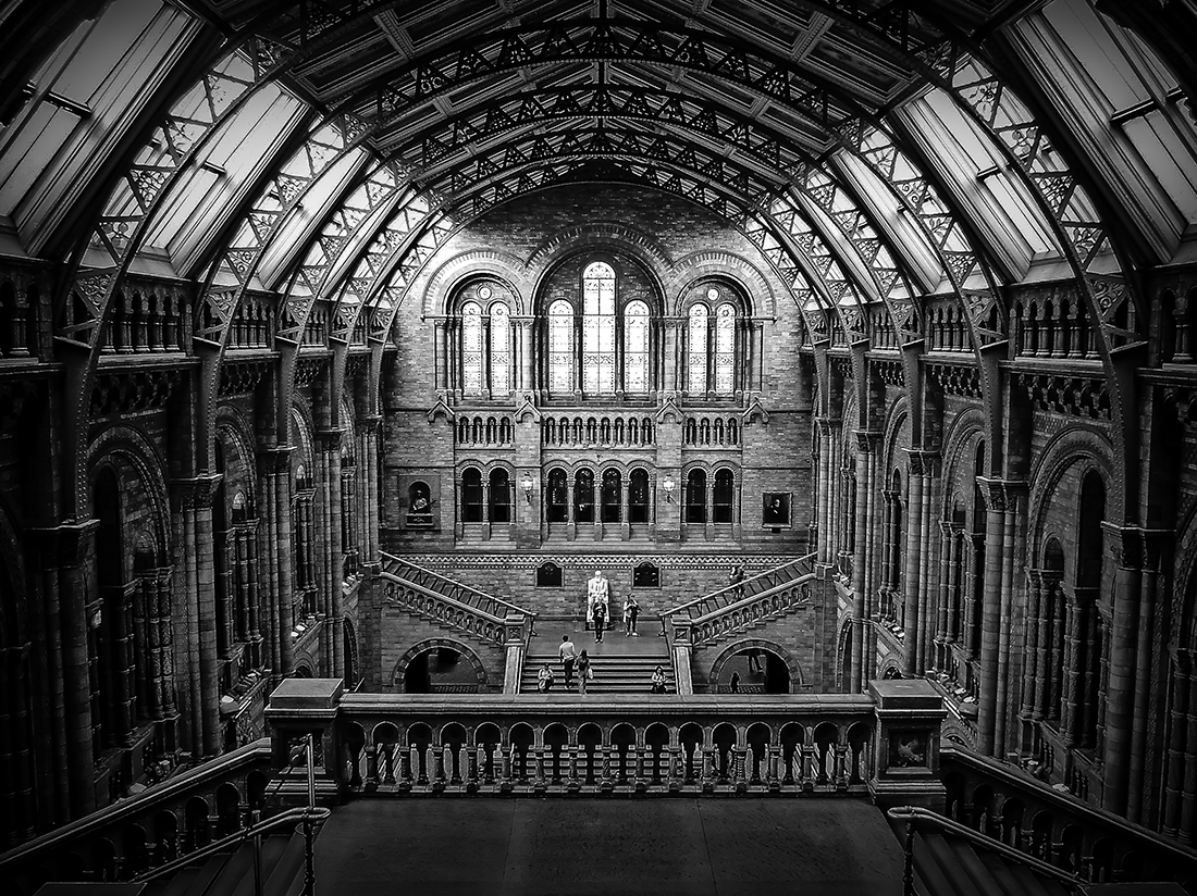 The Amazing London