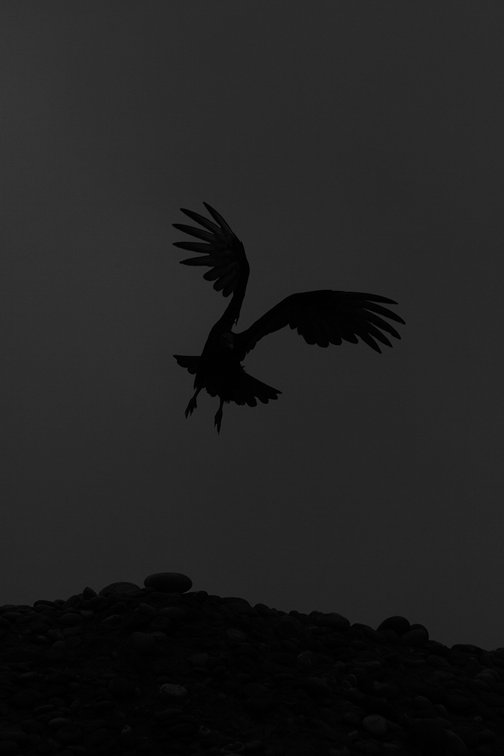 the silence