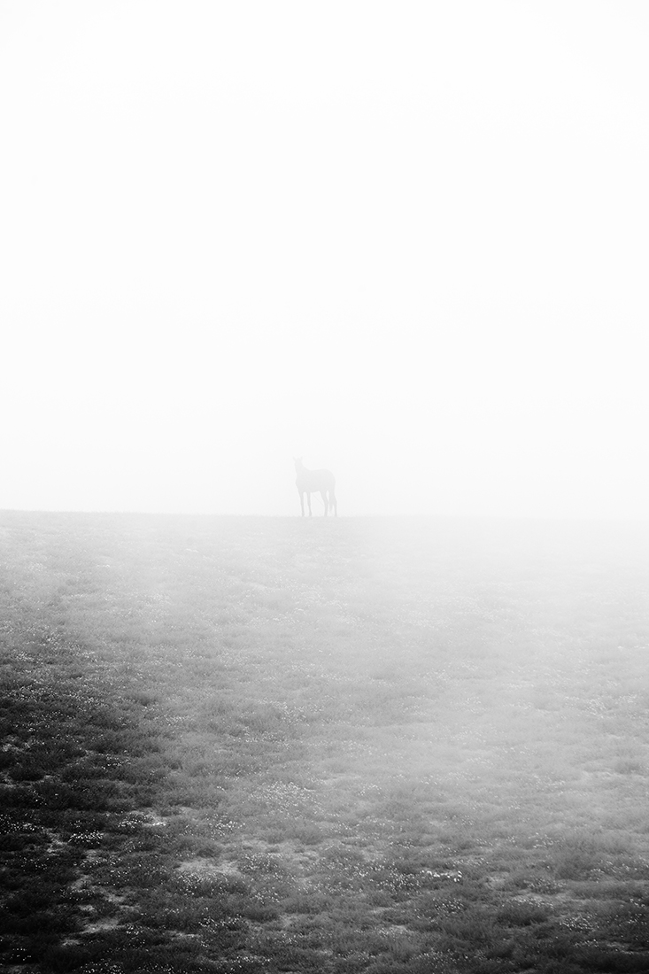 the silence