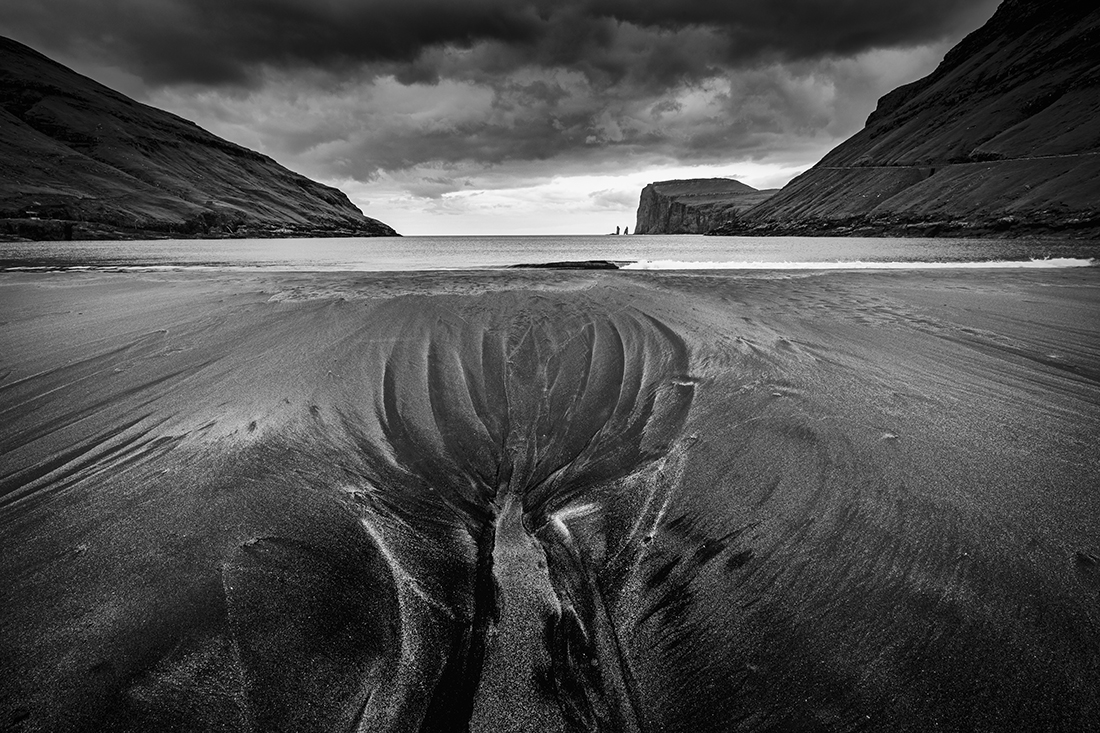 Rose Sands