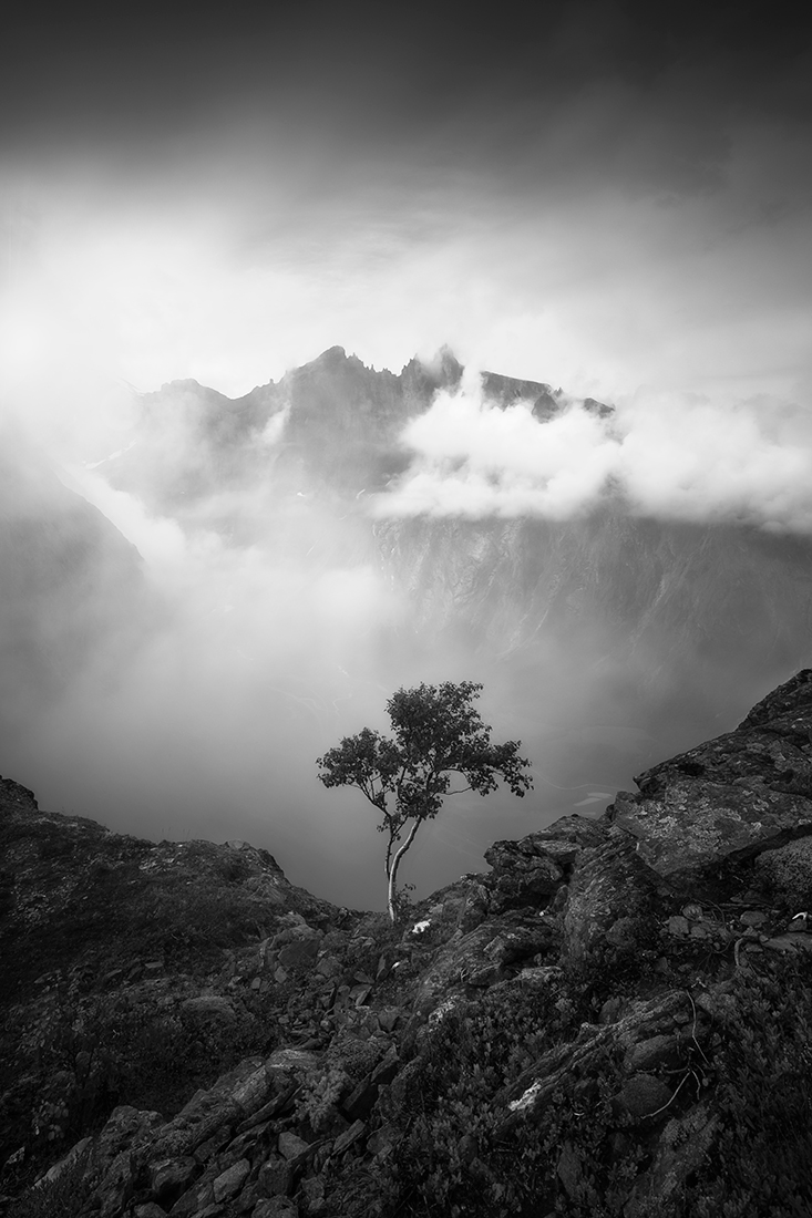 The Tree At The Abyss