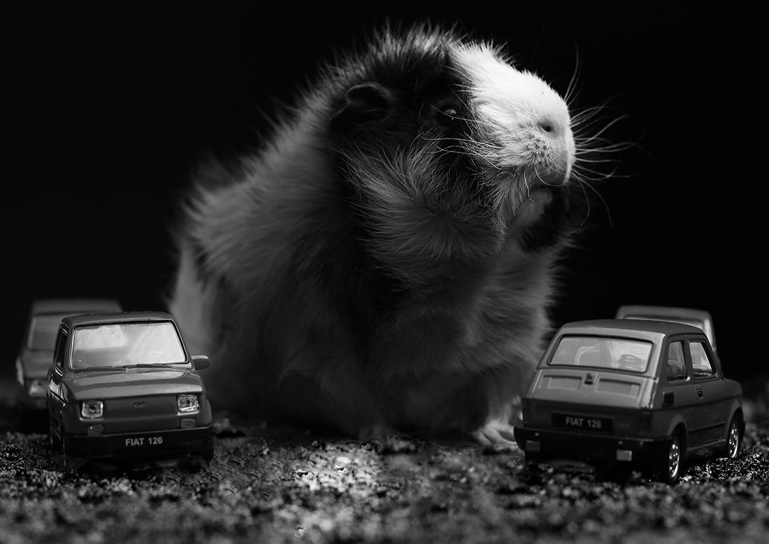 Small is beautiful