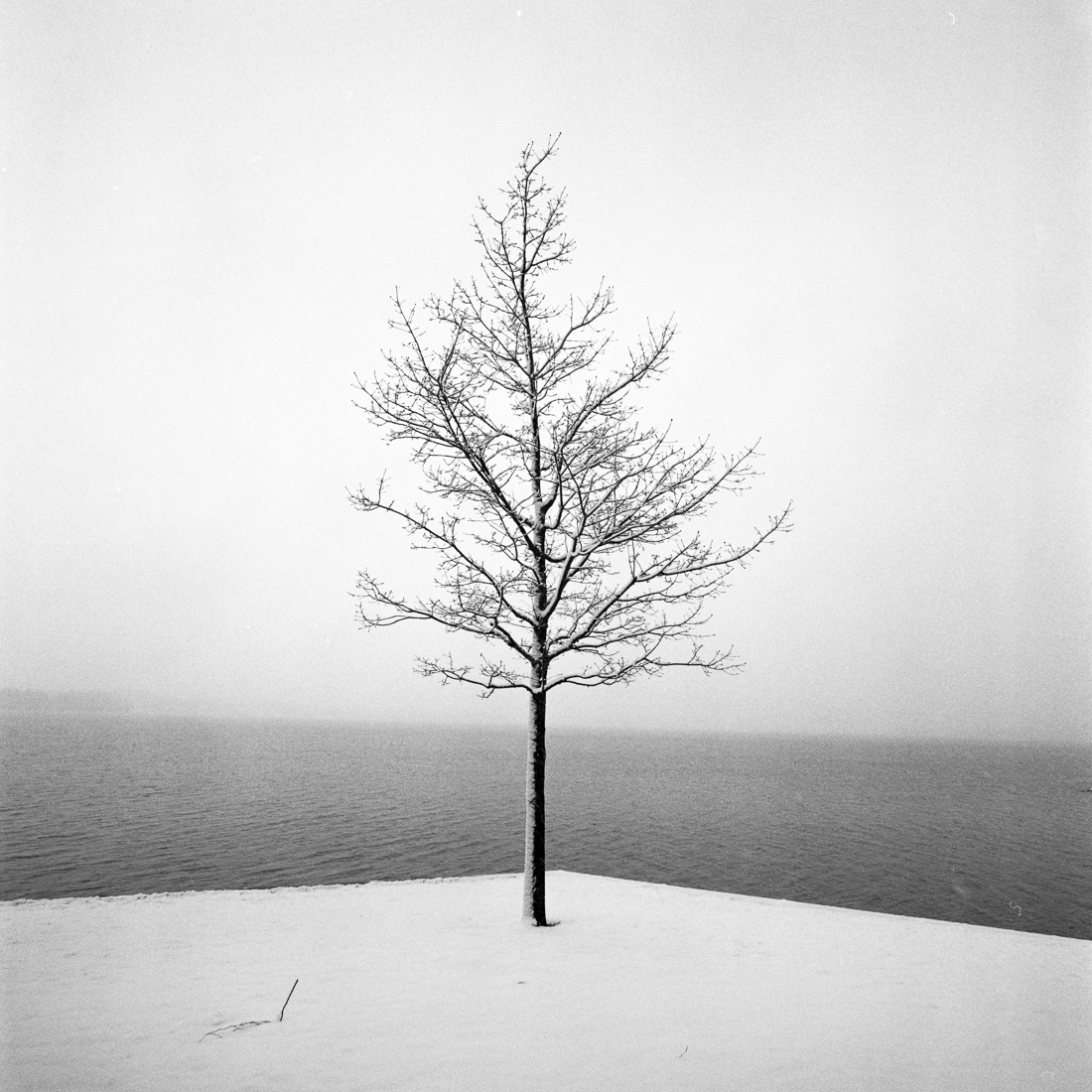 Solitude