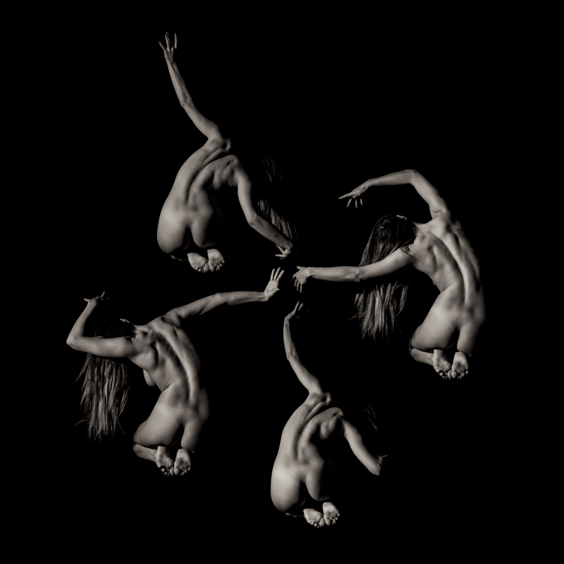 Melanomorphae Femina