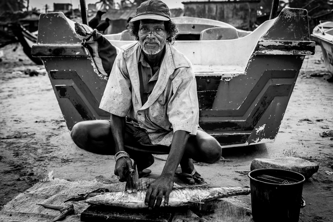 A Dying Tradition: The Story of the Fisher Folk in Dehiwela, West Coast, Sri Lanka