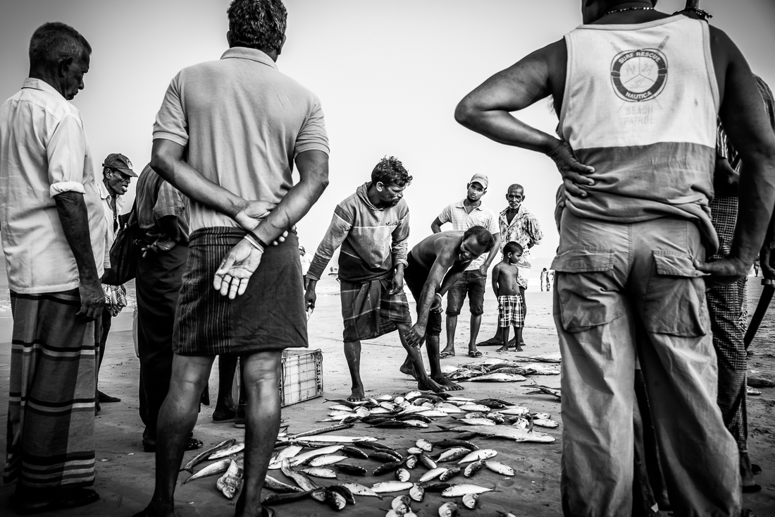A Dying Tradition: The Story of the Fisher Folk in Dehiwela, West Coast, Sri Lanka