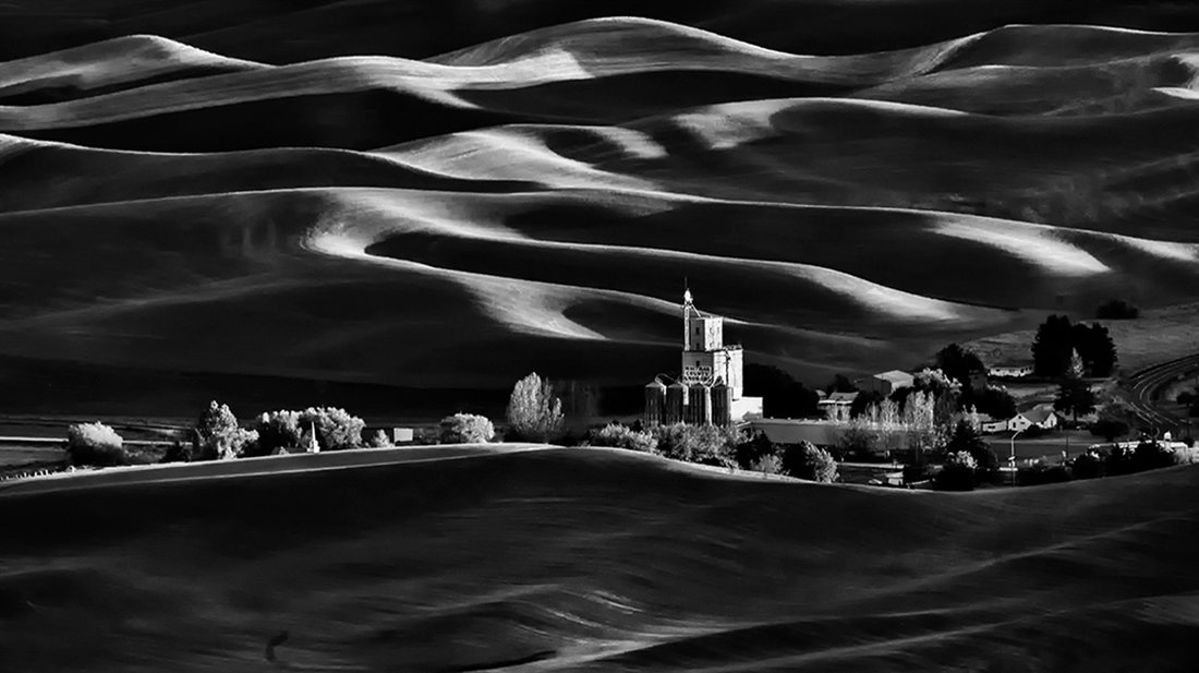 Wheat field