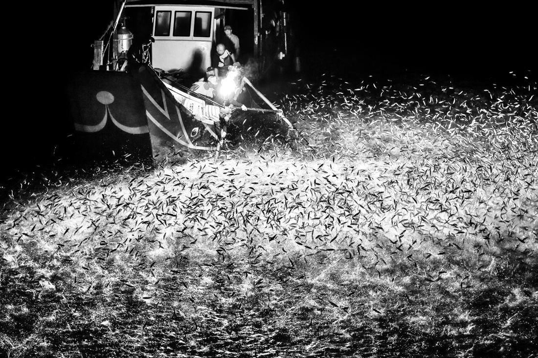 Sulphur fishing