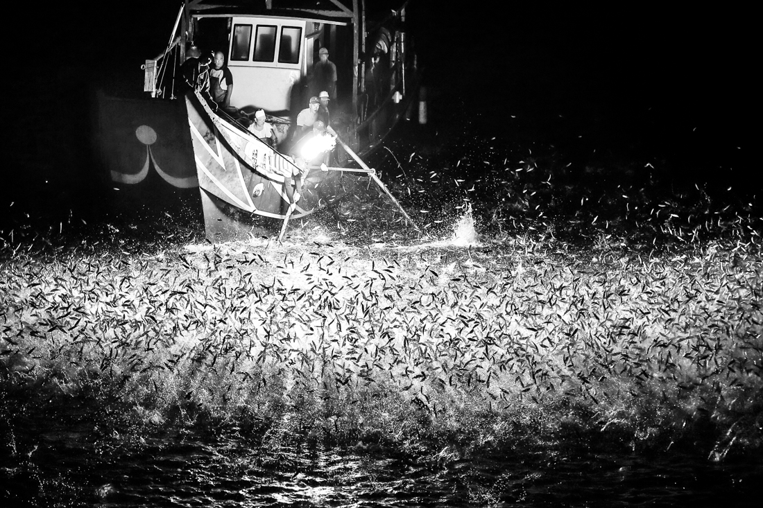 Sulphur fishing