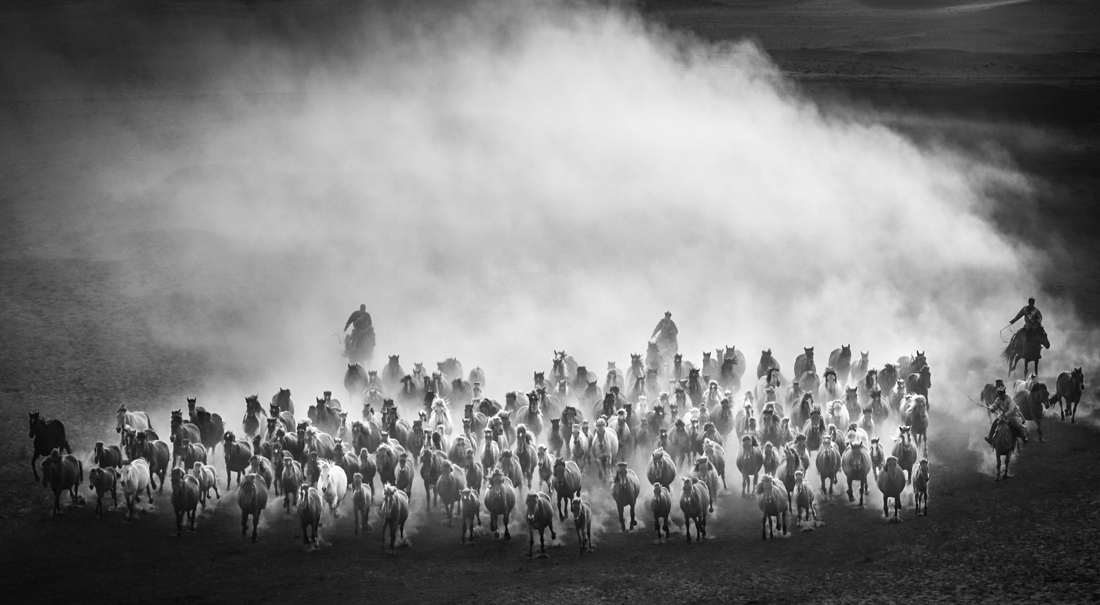 Horse race